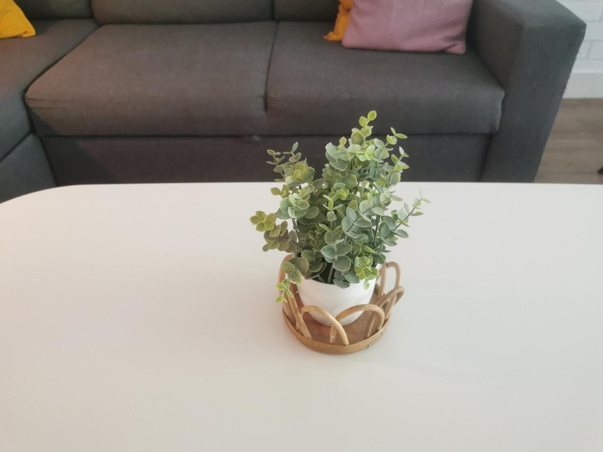 Yerseke Maarten & Hanh 外观 照片